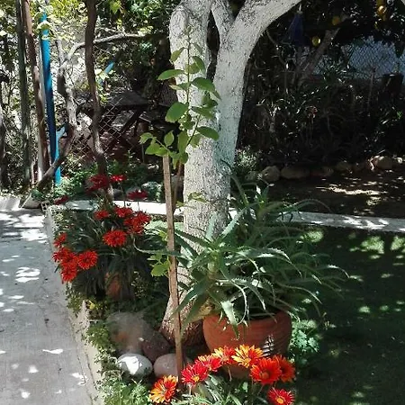 Holiday home Jordi *